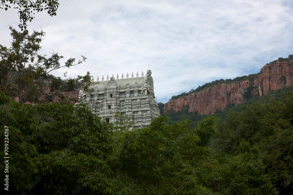 Wall mural India Tirumala Venkateswara Temple on a sunny winter day