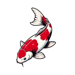 carp・鯉
