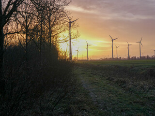 several windmills in the sunset