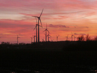 several windmills in the sunset