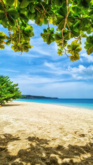 Fototapeta na wymiar View of Grand Anse beach on Grenada Island, Caribbean region of Lesser Antilles