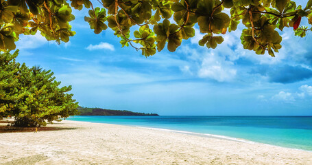View of Grand Anse beach on Grenada Island, Caribbean region of Lesser Antilles - obrazy, fototapety, plakaty