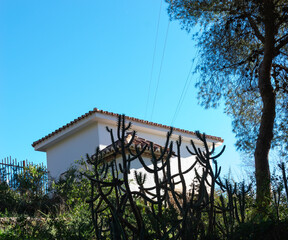 Country house, Nerja, Costa del Sol, Spain. Cacti growing next to the house.