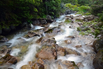Rocky stream of Kezmarska Biela voda in the Tatra mountain