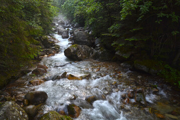 Rocky stream of Kezmarska Biela voda in the Tatra mountain