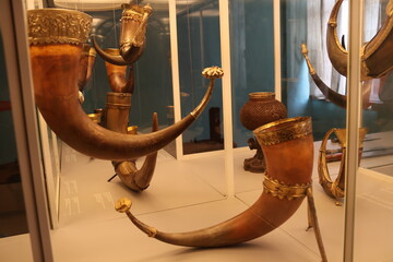 Medieval drinking horns display in the glass cabinet