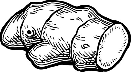 Fresh ginger root ink sketch.