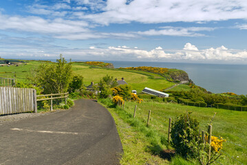 Straße zum Gobbins Cliff vorbei an Felder und Wiesen