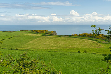 Am Gobbins Cliff - Blick über Felder und Wiesen in den Horrizont