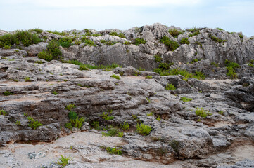 The surface of the mountaintop shaped by the elements over the centuries.