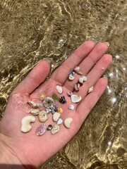 Shells and rocks on a hand  © Antonina