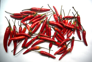 Red chili pepper pods scattered on white background - 709256577