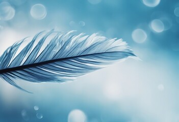 Transparent drop of water on a fluffy blue feather on a soft fuzzy background macro with soft focus