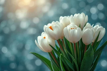 Foto op Canvas Bouquet of white tulips against a bokeh background. © Владимир Солдатов