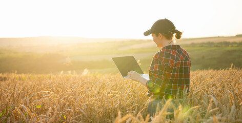 Fototapeta premium Woman farmer working with laptop on wheat field. Smart farming and digital agriculture
