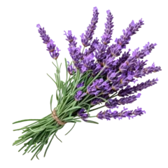 Rolgordijnen Bunch of lavender isolated on white or transparent background. © amankris99