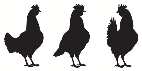Chicken silhouettes and icons. Black flat color simple elegant white background Chicken animal birds vector and illustration.