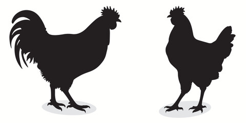 Chicken silhouettes and icons. Black flat color simple elegant white background Chicken animal birds vector and illustration.