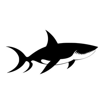 shark vector illustration silhouette