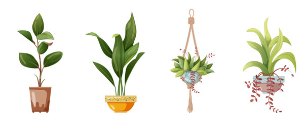 Houseplant and macrame plant growing in pots. Set of handmade home decorations macrame plants isolated on white background. Cartoon flat illustration.