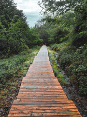 Obraz premium Aydınpınar waterfall, Bolu, Turkiye