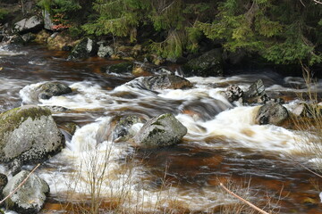 Jizera river
