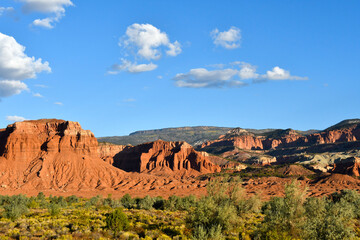 Green field and red rocks at Capitol Reef National Park.