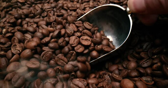 Close up of seeds of coffee. Fragrant coffee beans are roasted smoke comes from coffee beans.