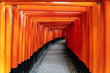 Gartenposter Fushimi Inari Taisha Torii Schrein der tausend Torii in Kyoto © gottsfam