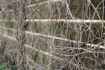 A simple wooden fence