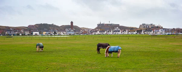Fototapeten Village meadow in Wijk aan Zee in The Netherlands, formerly used as hayfield for cows and horses. Example of a sea village landscape. © Menyhert