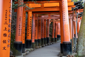 Fushimi Inari Taisha Torii Schrein der tausend Torii in Kyoto