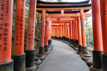 Fototapeta na wymiar Fushimi Inari Taisha Torii Schrein der tausend Torii in Kyoto