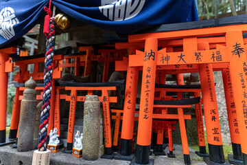 Fushimi Inari Taisha Torii Schrein der tausend Torii in Kyoto