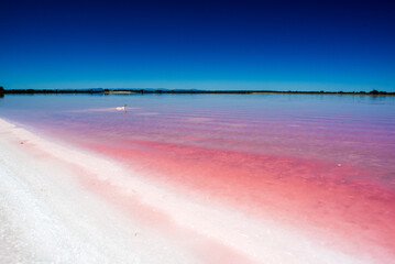 Salt beach and pink water near Arles, France