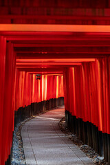 Fototapeta premium Fushimi Inari Taisha Torii Schrein der tausend Torii in Kyoto