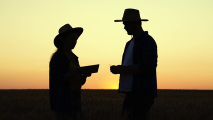 Silhouette Farmer, man, woman work in summer field, big harvest of wheat. Business people,...