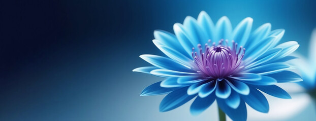 Obraz premium Blue flower on a blue background.