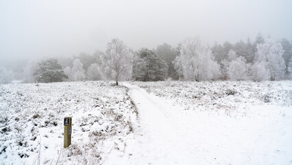 Nasskalter Winter in der Töpsheide