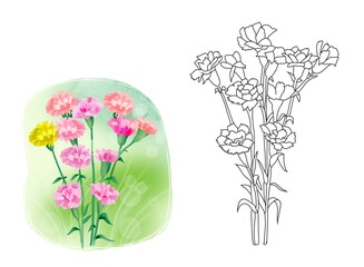 bouquet of flowers carnation  and milking illustration coloring 