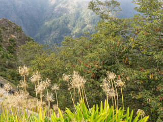 Dien insel Madeira in Portugal