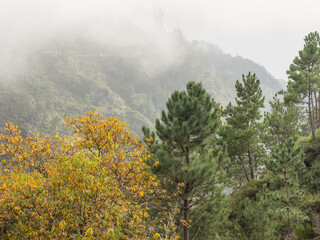 Dien insel Madeira in Portugal