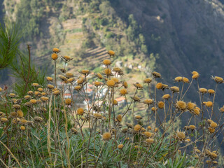 Funchal und die Insel Madeira