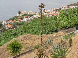 Funchal und die Insel Madeira
