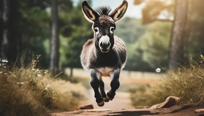 Gordijnen Young donkey running  .ai generated © hanohiki