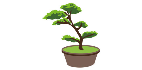 Potted Bonsai Tree On White Background, Asian Bonsai Plant Vector Illustration.
