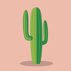 saguaro cactus flat vector