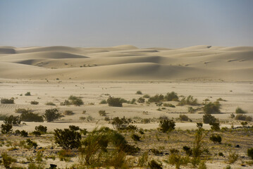 Windy afternoon on the sand dunes near the town of Fiambalá, Catamarca, Argentina.