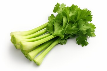 green celery leaves isolated on a white background. a bunch of greenery.
