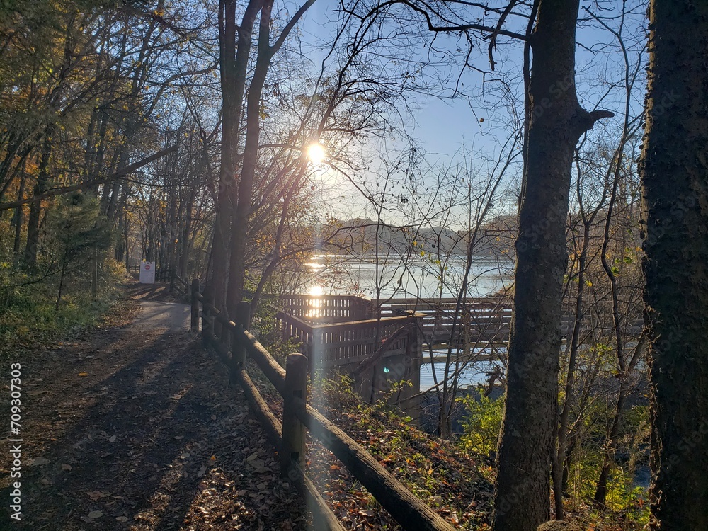 Wall mural radnor lake sunscape